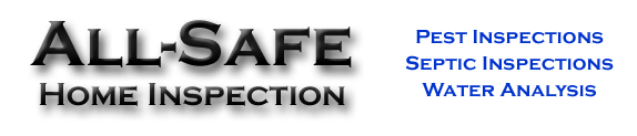 All-Safe Home Inspection